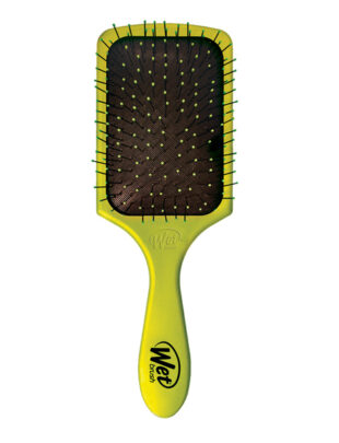 wet brush paddle