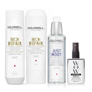 Goldwell Dualsenses Rich Repair Restoring Shampoo & Conditioner And Color Wow Travel Extra Strength Dream Coat